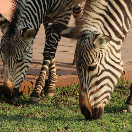 We Kebi Safari Lodge Sesriem Kültér fotó